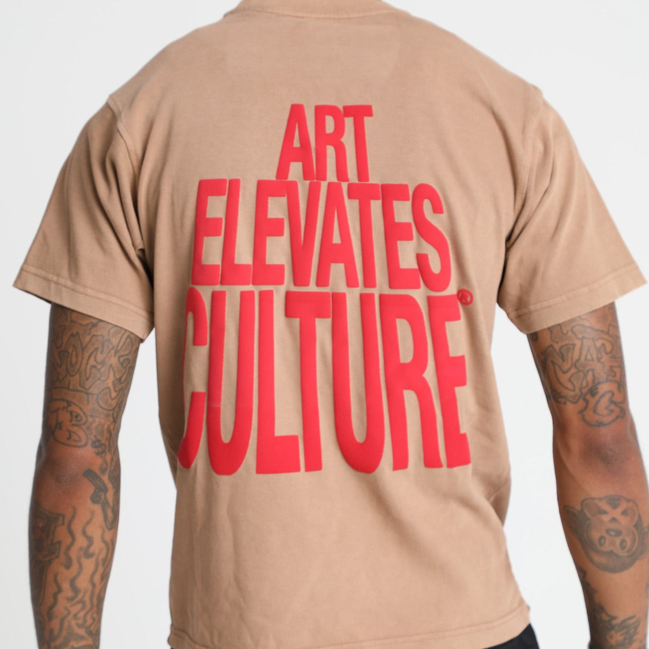 Art Elevates Culture - T-Shirt (Khaki + Red)