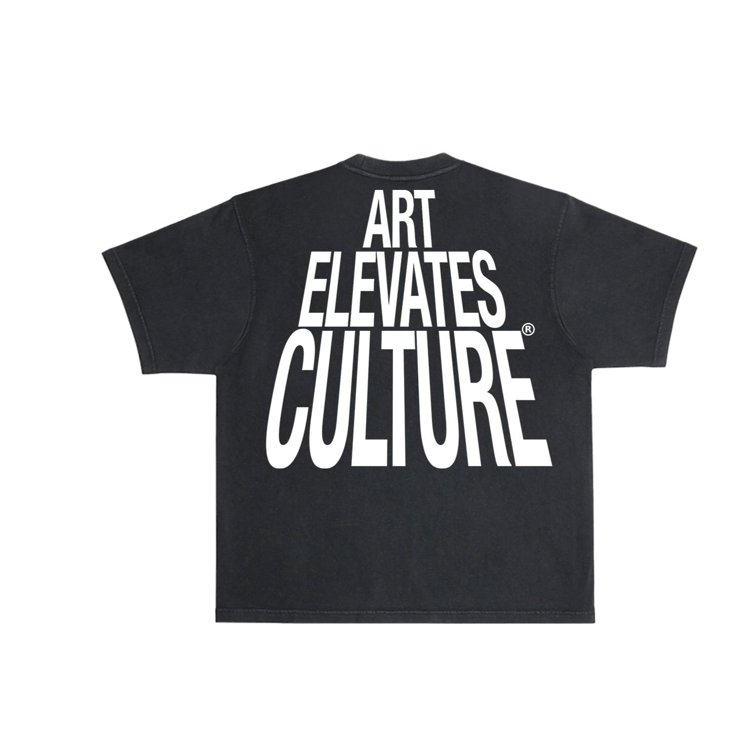 Art Elevates Culture - T-Shirt (Black)