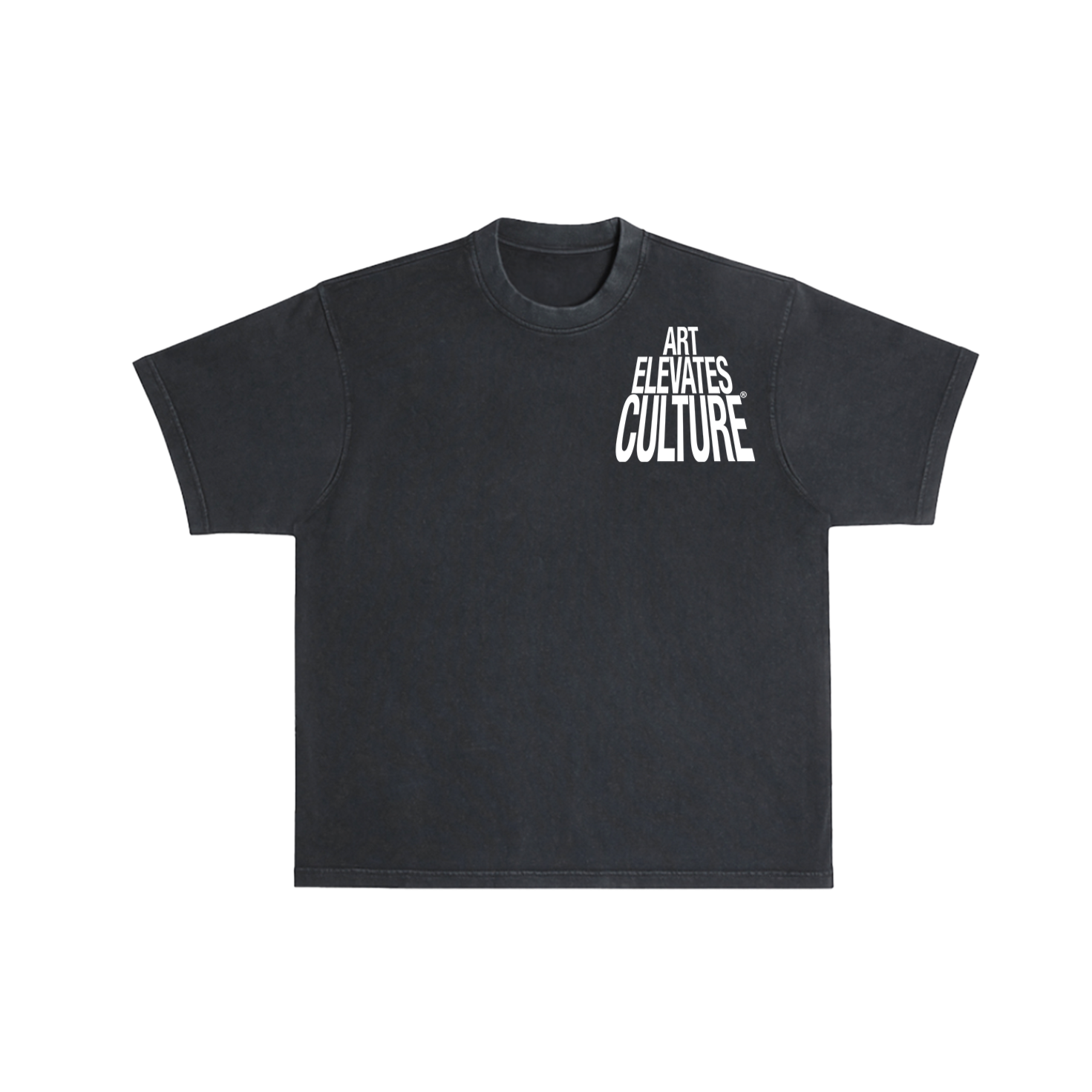 Art Elevates Culture - T-Shirt (Black)