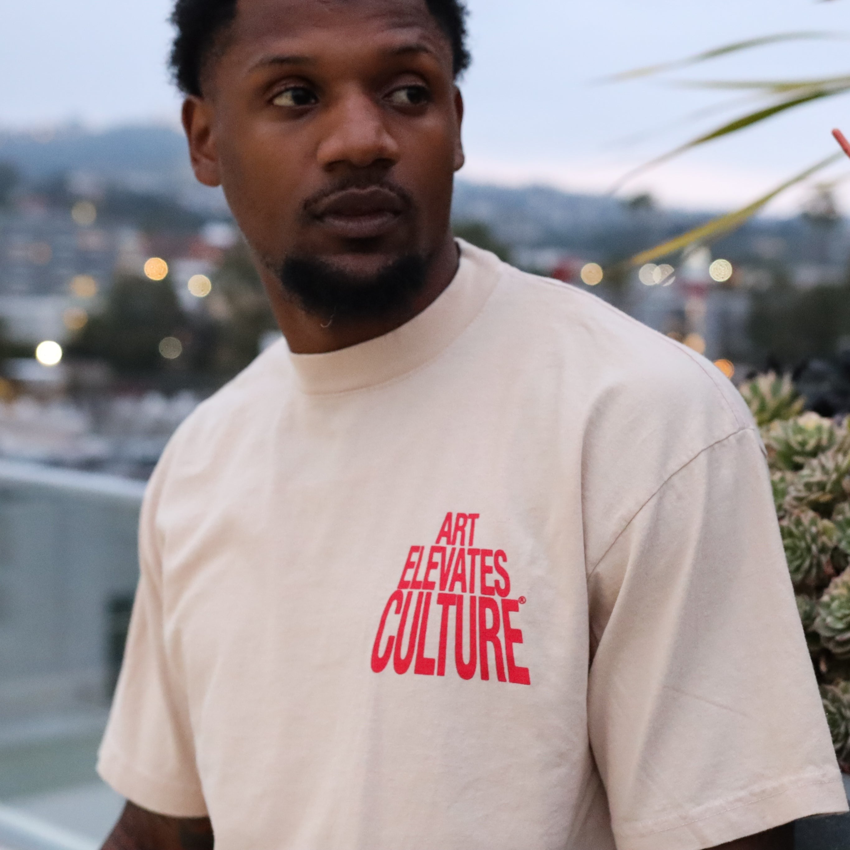 Art Elevates Culture - T-Shirt (Khaki + Red)