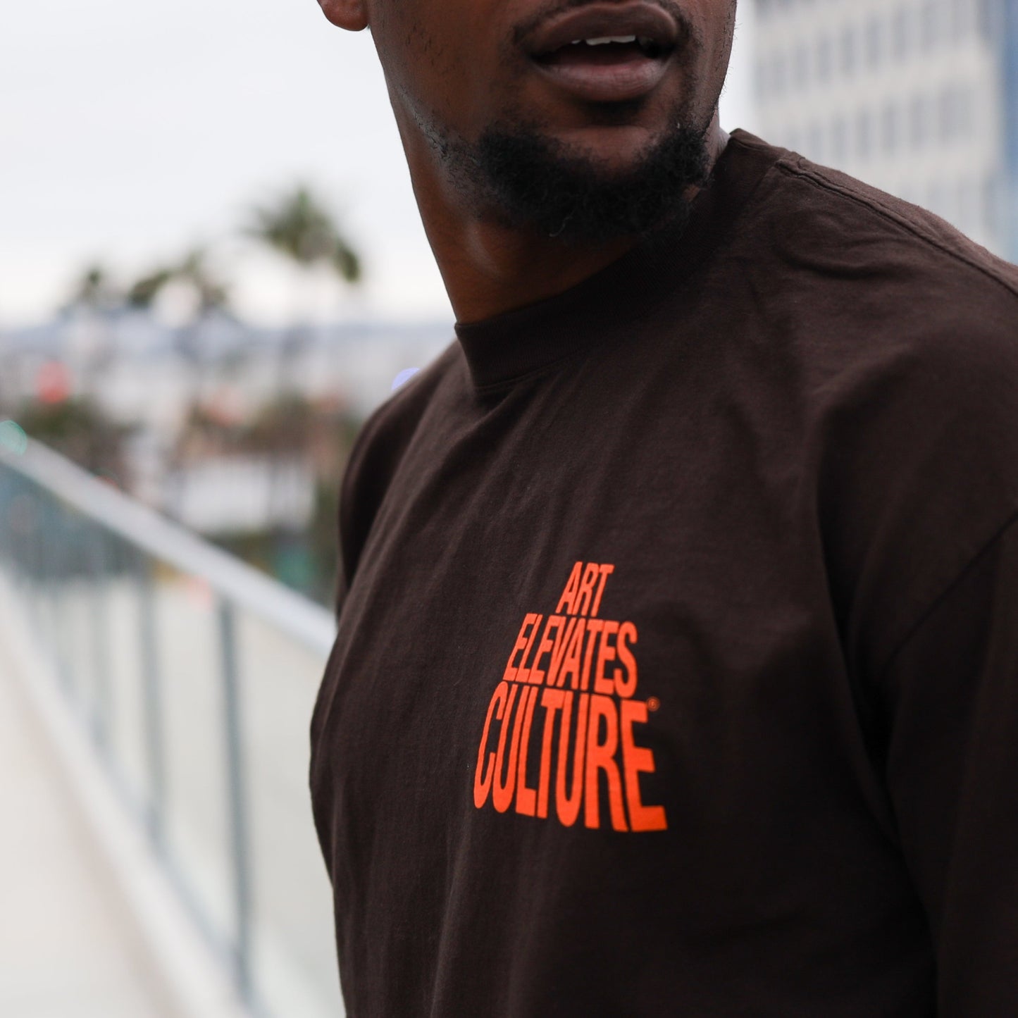 "Art Elevates Culture" TEE - PUFF PRINT (BROWN)