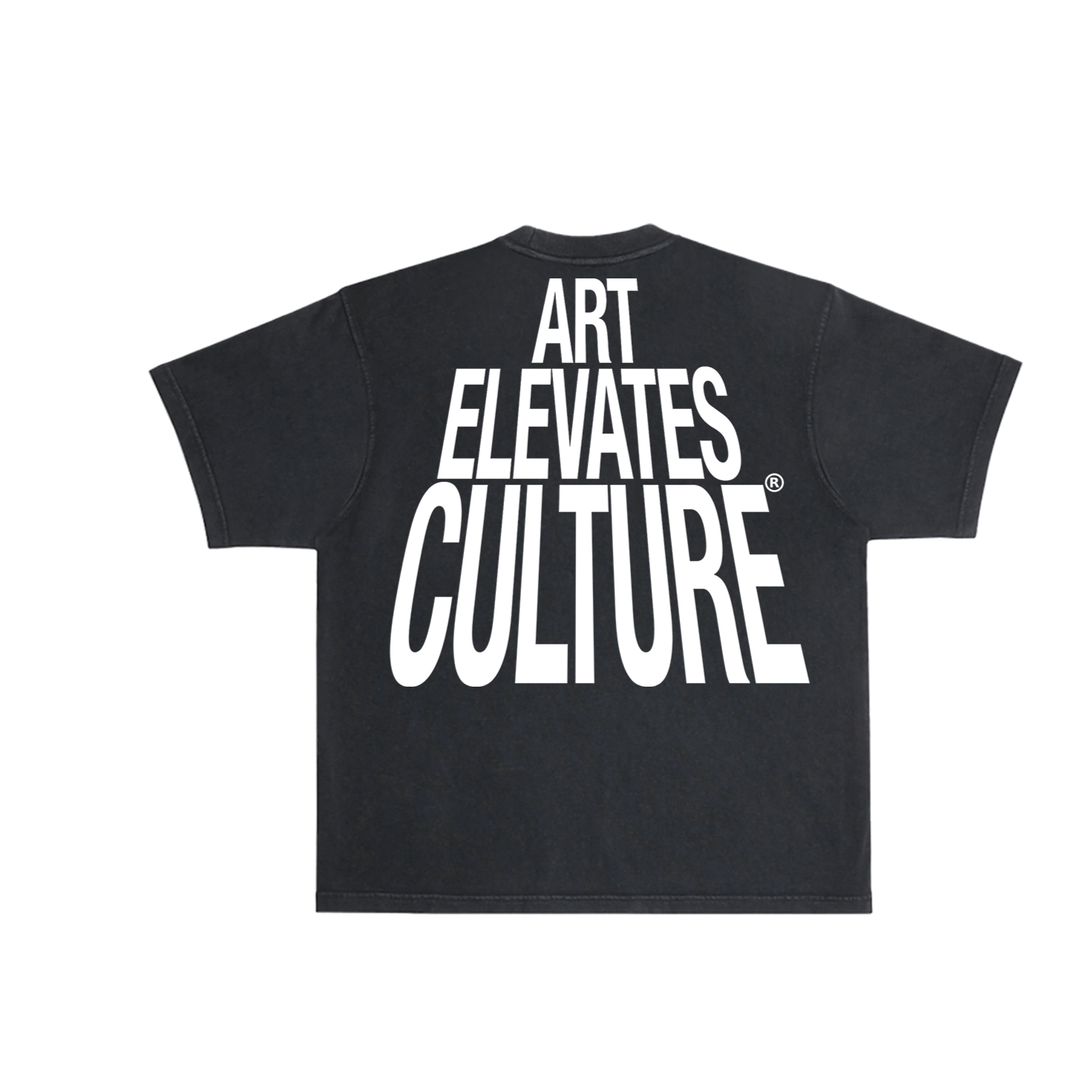 Art Elevates Culture - T-Shirt (Black + White)