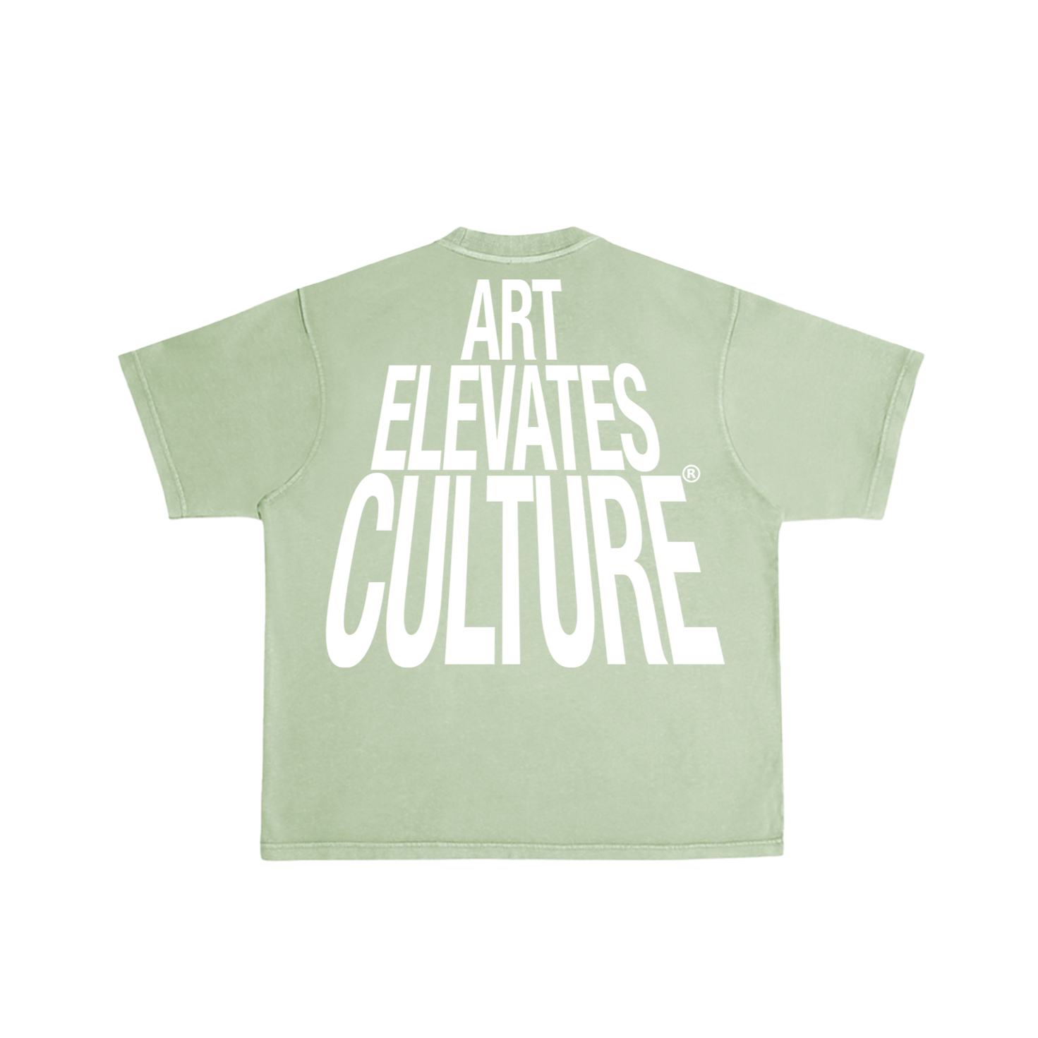Art Elevates Culture - T-shirt (Sage + White)