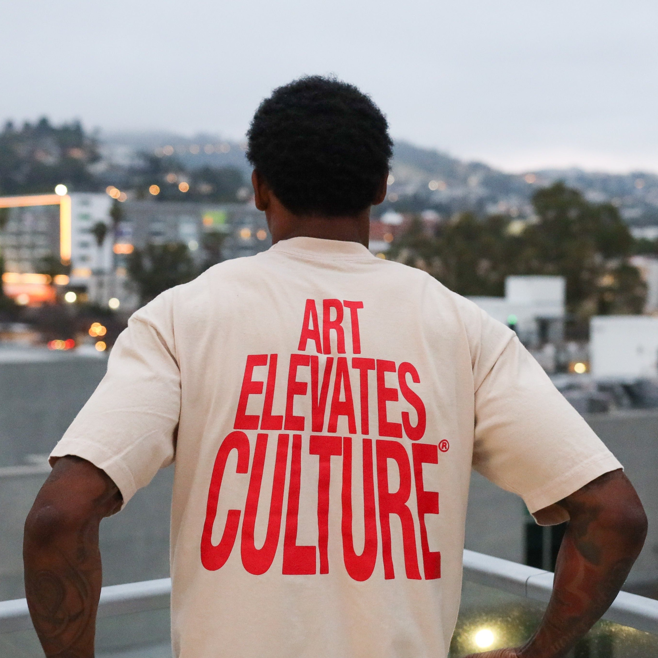 Art Elevates Culture - T-Shirt (Khaki + Red)